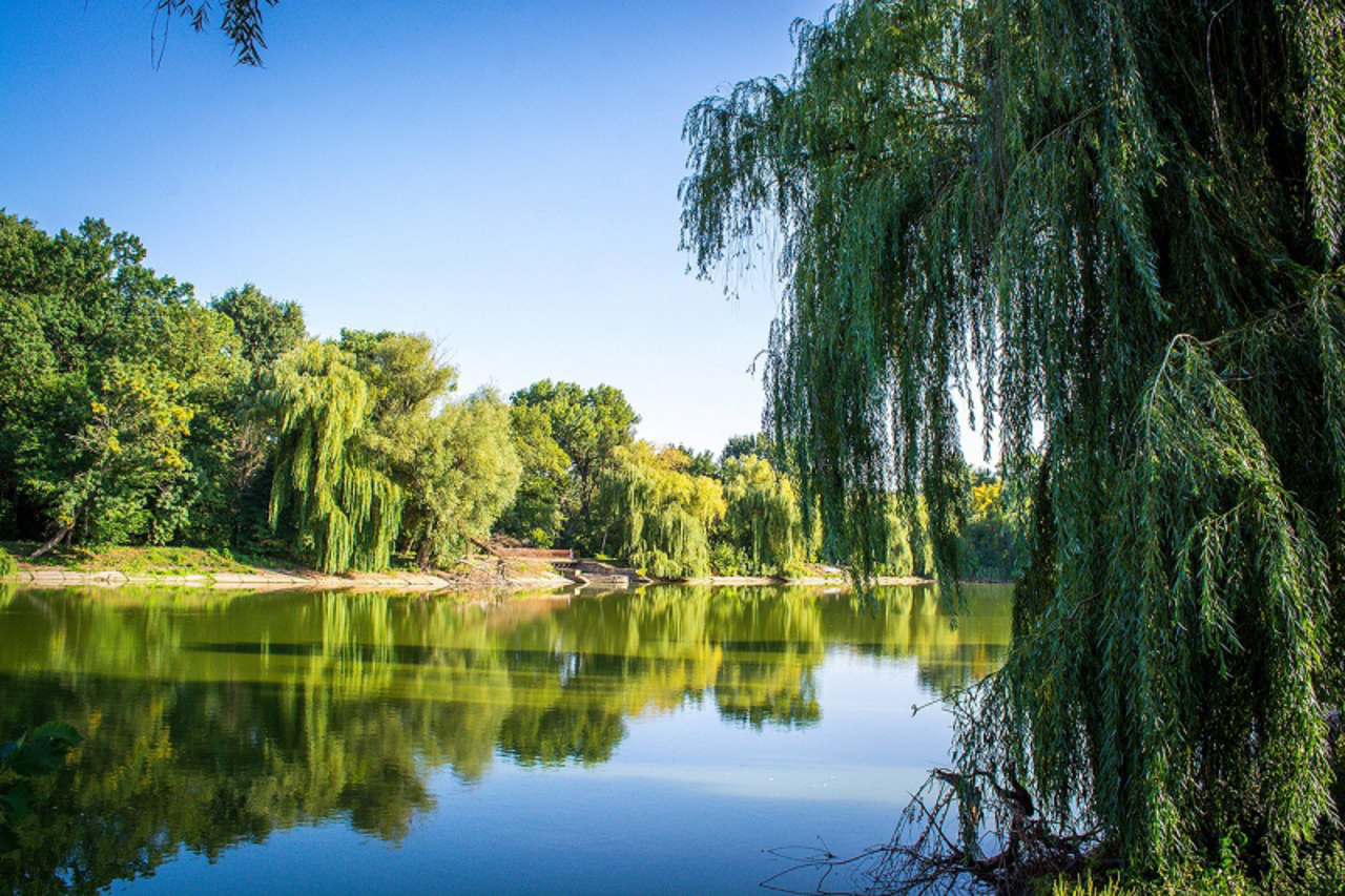 Onufriivskyi Park