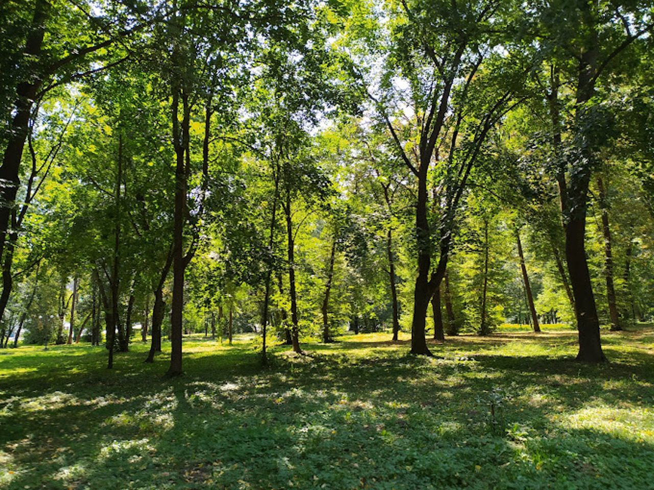 Залещицкий парк, Залещики