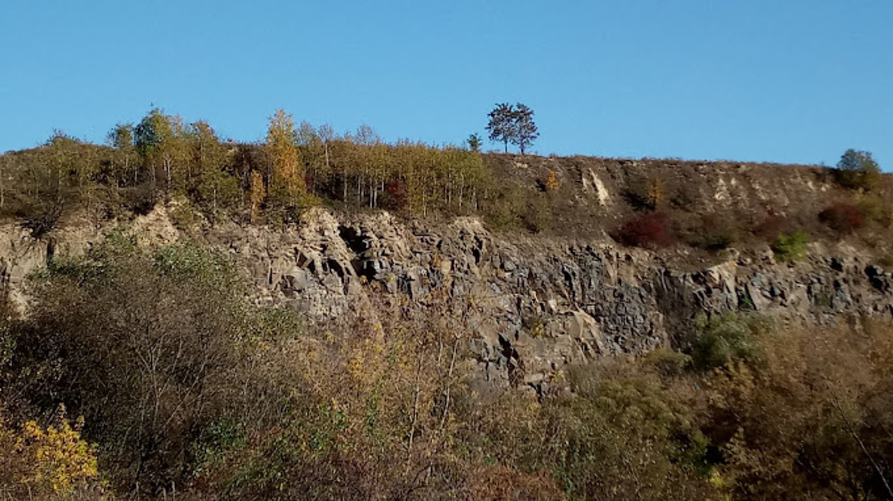 Звягельське городище, Звягель