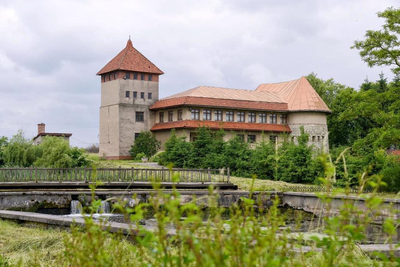 "Ancient Zvenyhorod" Reserve