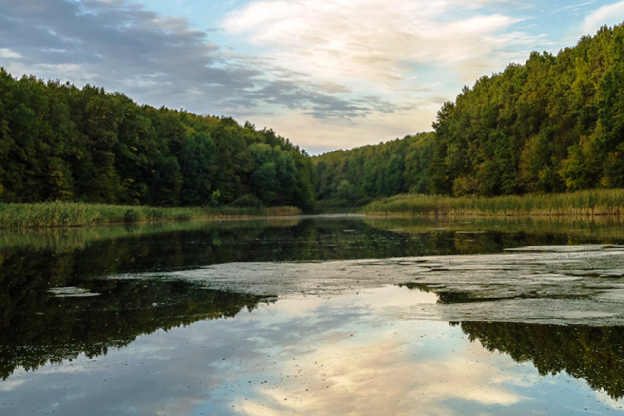 Black (Berestuvate) Lake, Bohdanivka