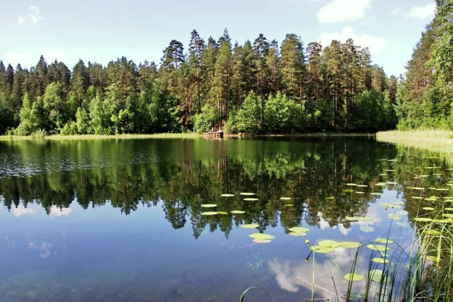 Black (Berestuvate) Lake, Bohdanivka