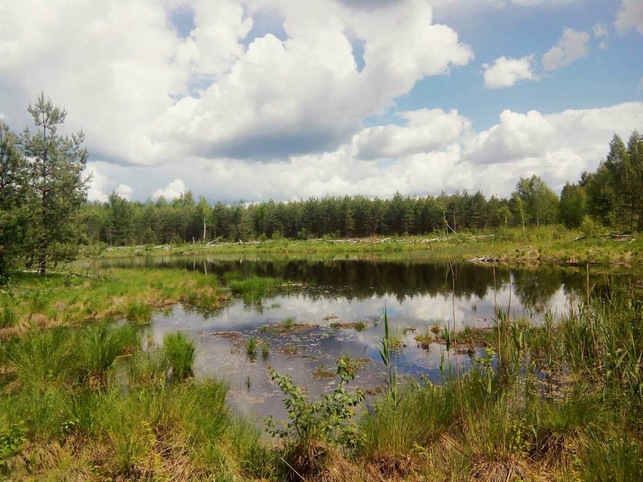 National Nature Park "Slobozhanskyi", Krasnosnokutsk