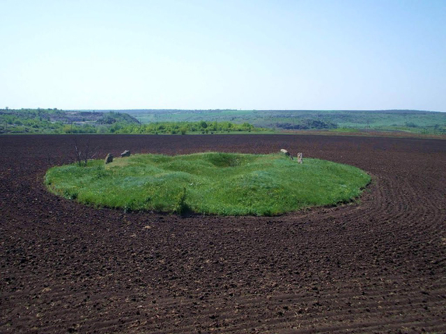 Південнобузький кромлех, Панкратове