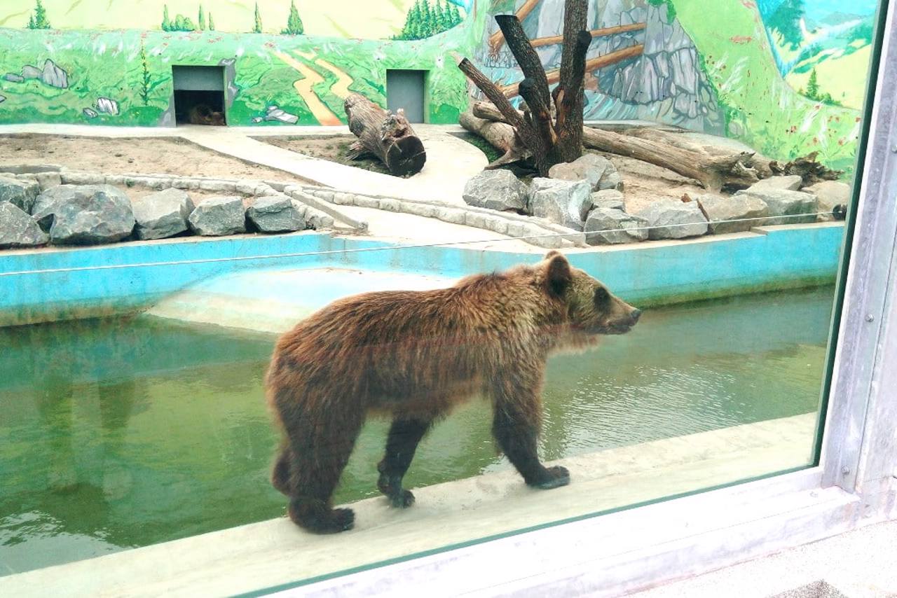 Podilsky Zoo, Vinnytsia