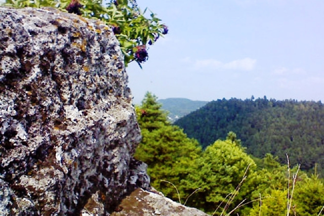 Дівочі скелі, Кременець