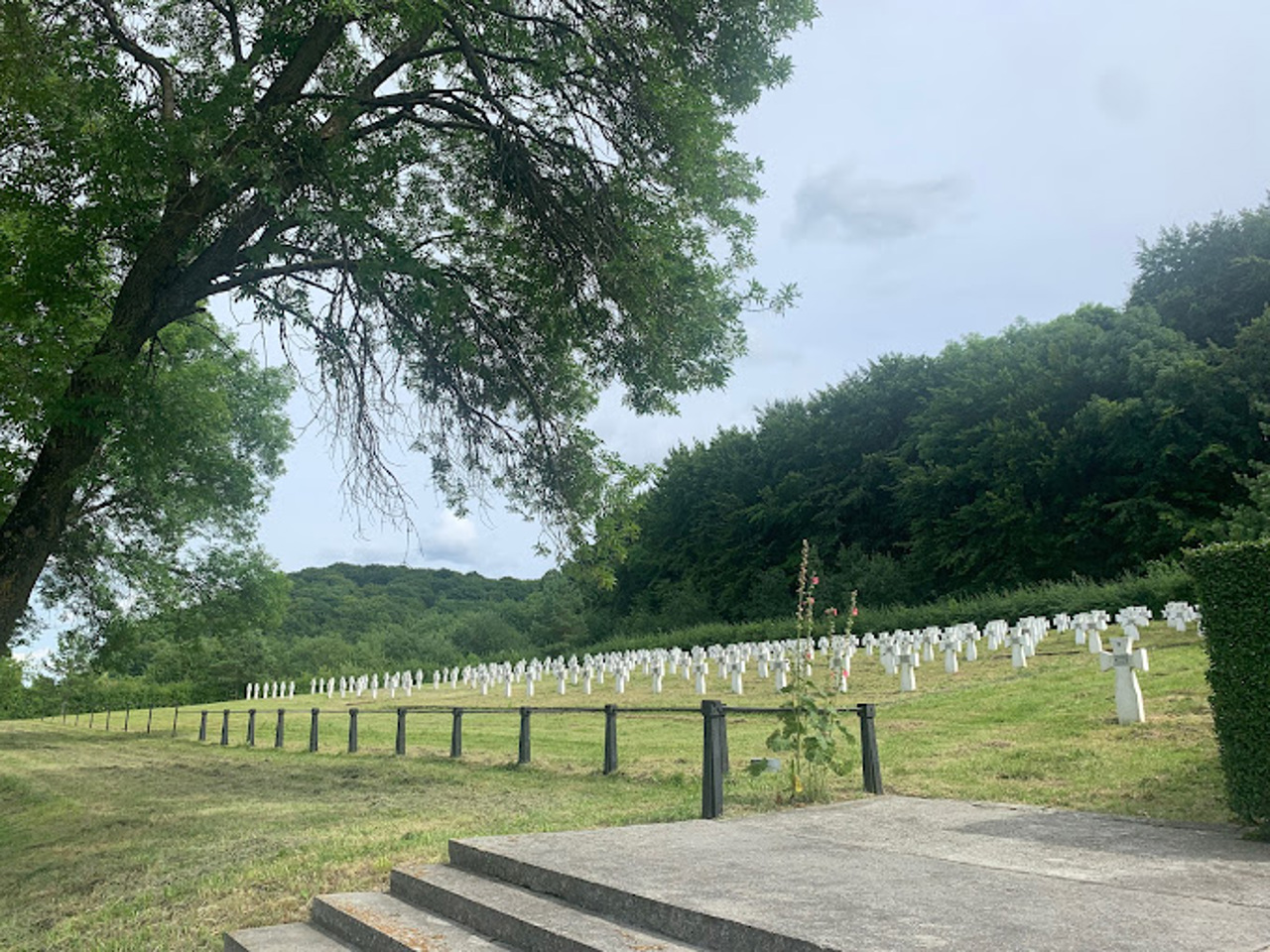 "Halychyna" division Memorial, Chervone