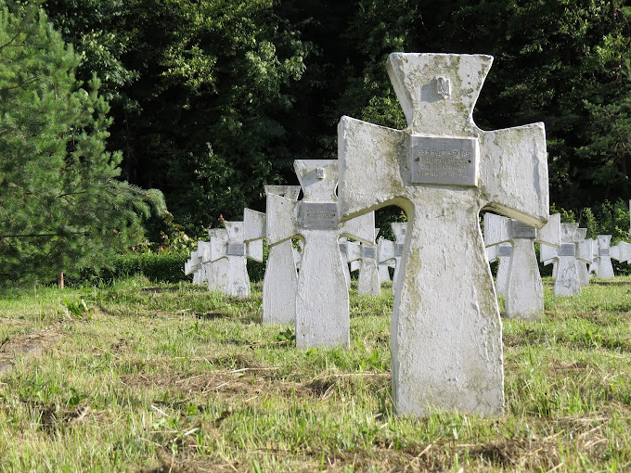 "Halychyna" division Memorial, Chervone