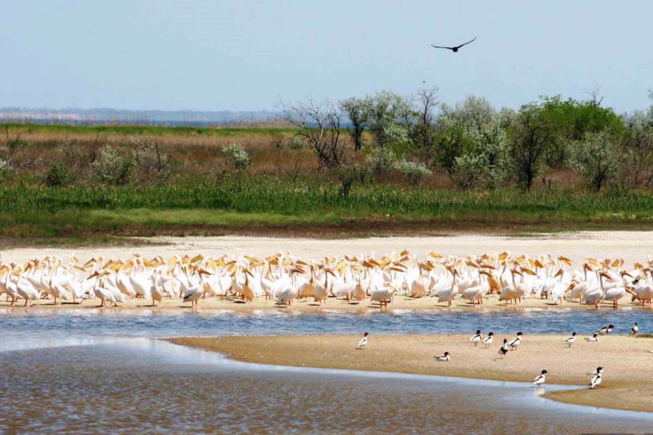 "Ivory Coast of Sviatoslav" National Nature Park