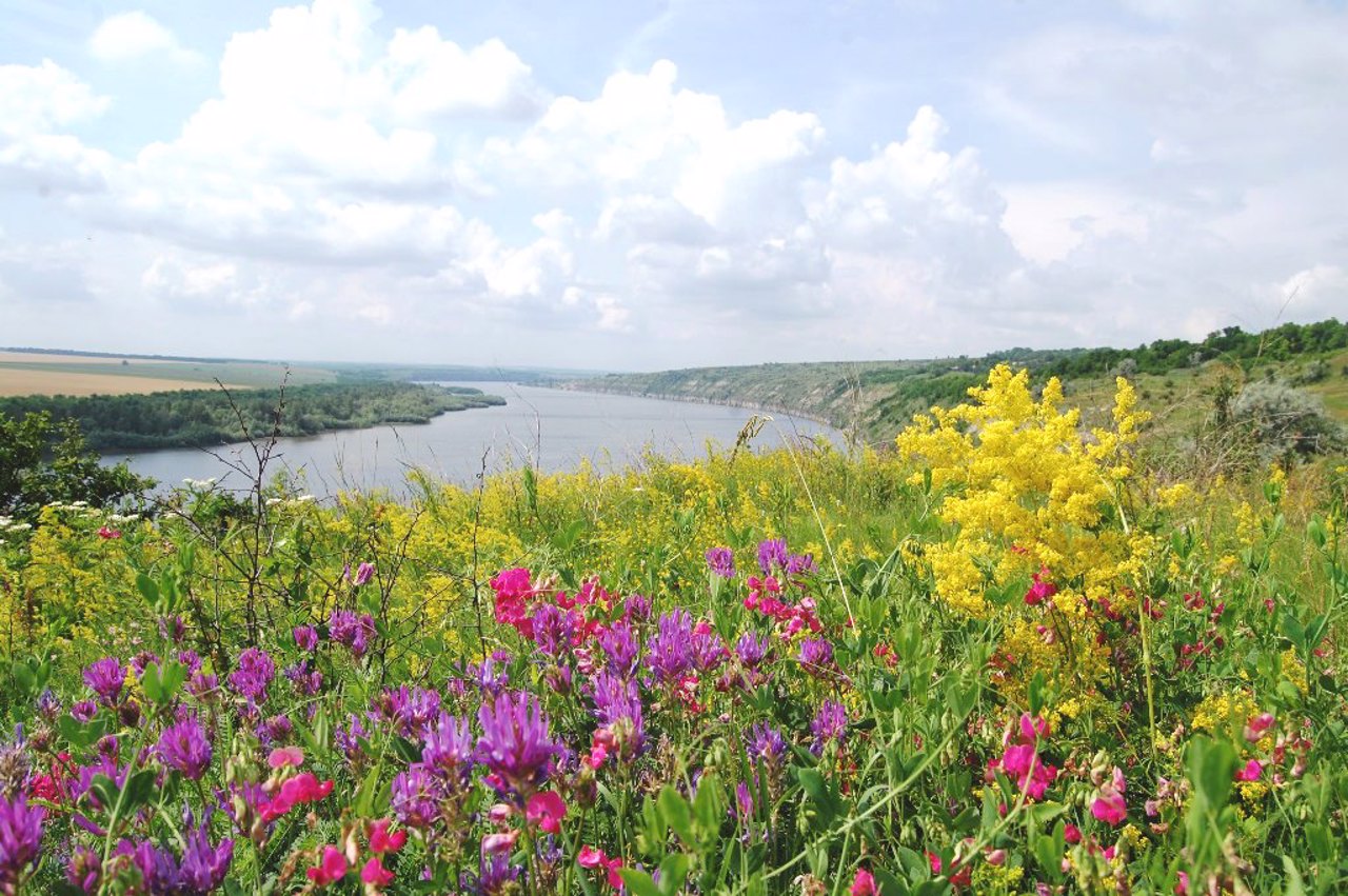 Khotynskyi National Park, Khotyn