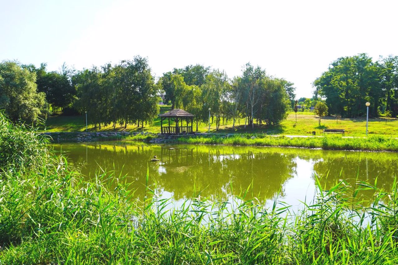 Voznesenivsky Park, Zaporizhzhia