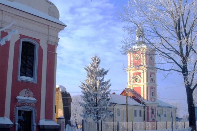 Монастир домініканців, Белз