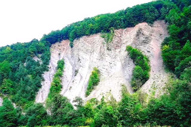 Скеля Слон (Готичні складки), Яремче