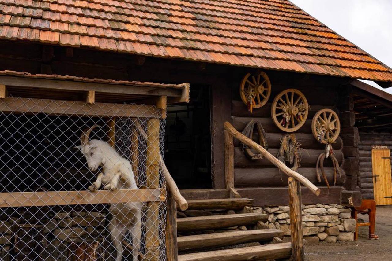 Museum "Ukrainian Khutir", Cossack settlement "Rakovets", Volia Yakubova