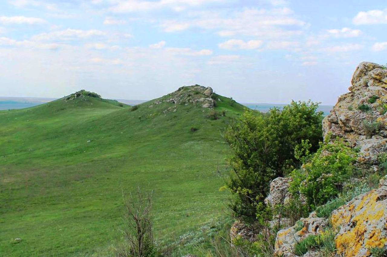 "Tovtra Verbetska" Reserve, Verbka