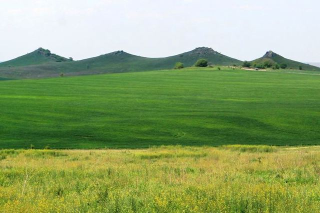 Заказник "Товтра Вербецька", Вербка