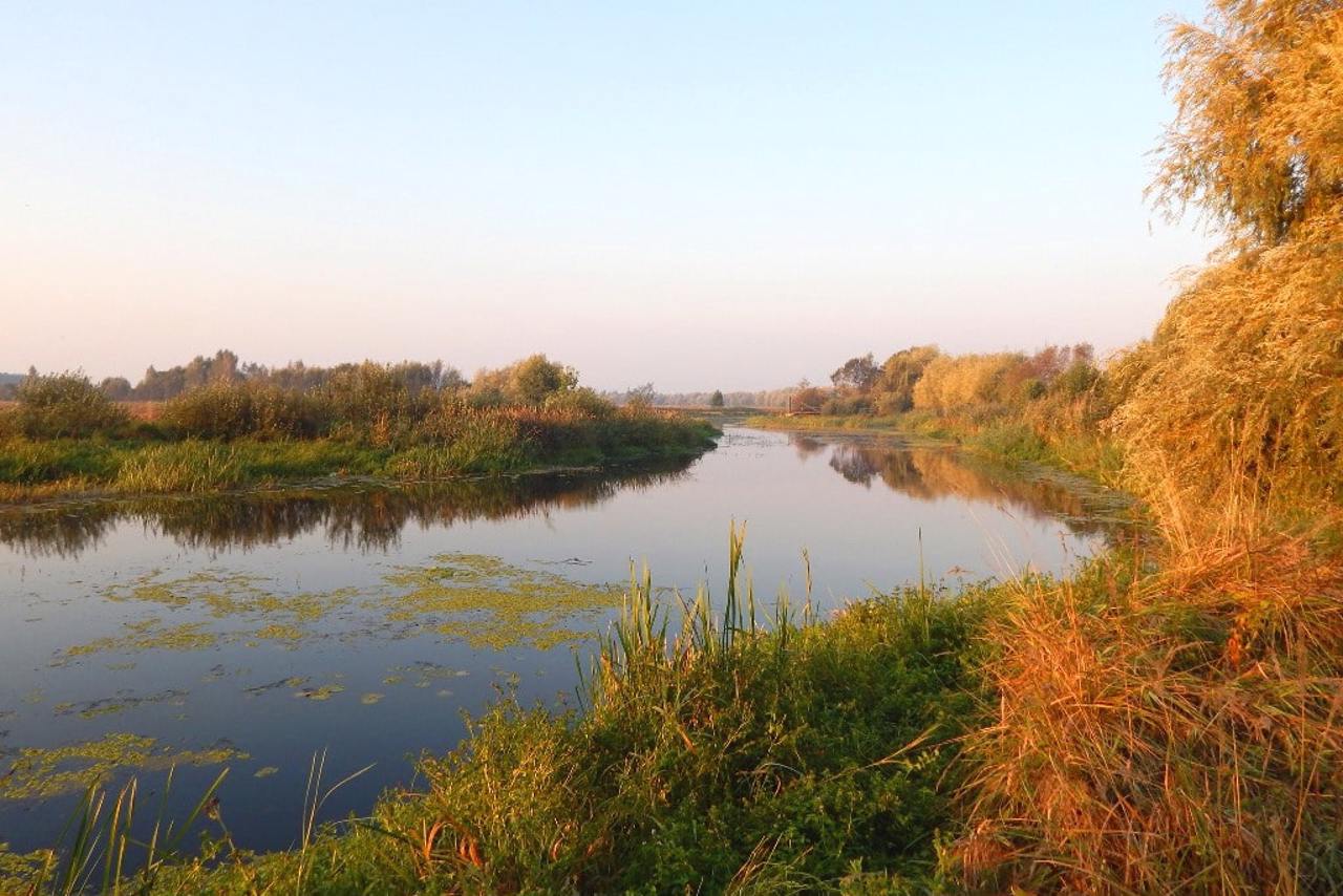 Національний природний парк "Прип'ять-Стохід"