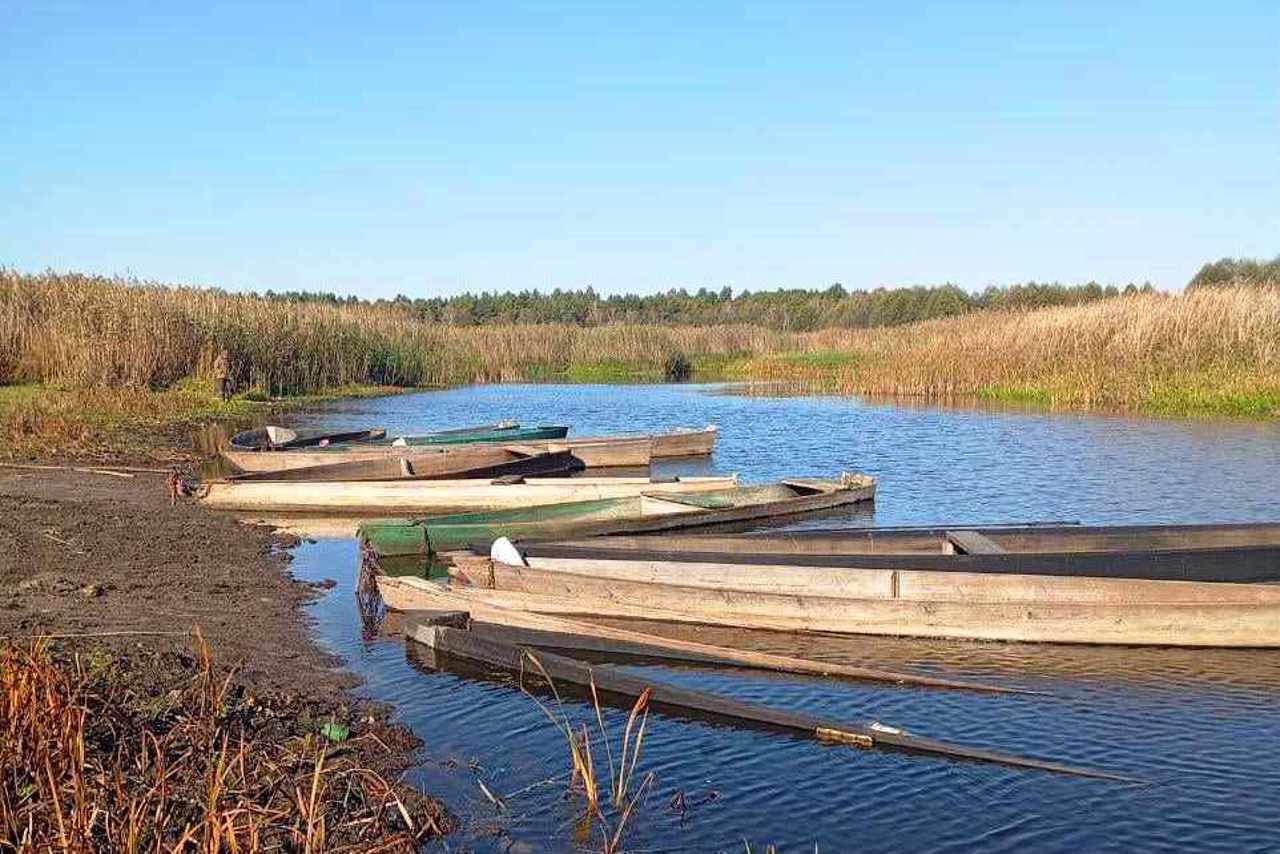 Національний природний парк "Прип'ять-Стохід"