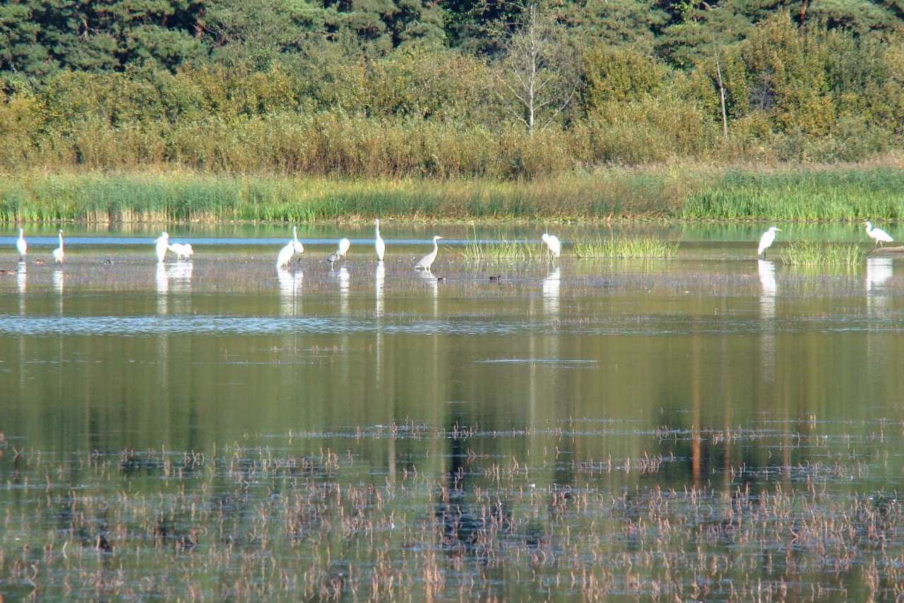 Prypyat-Stokhid National Nature Park