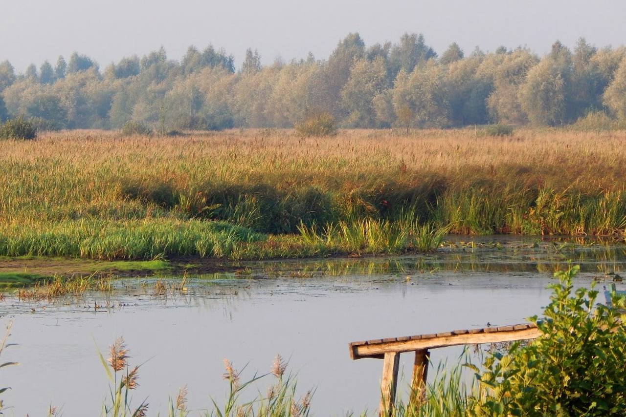 Prypyat-Stokhid National Nature Park