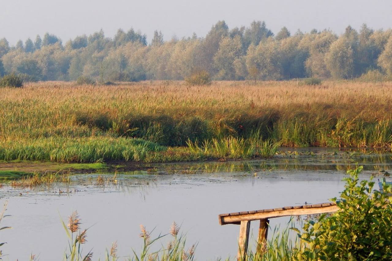 Національний природний парк "Прип'ять-Стохід"