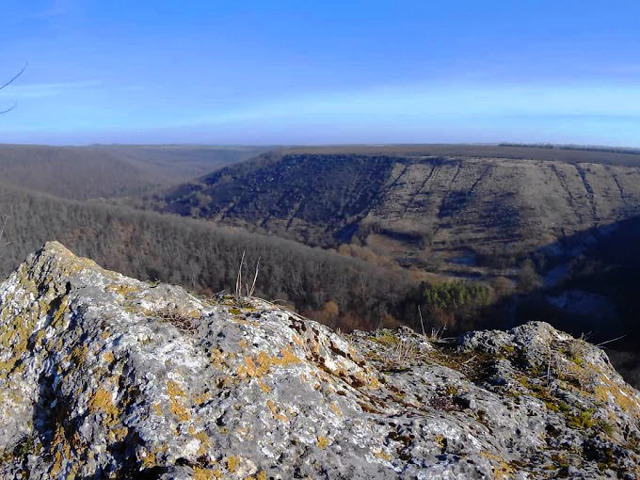 Milk Stone, Krushanivka