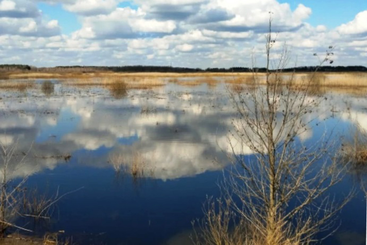 Liubyaz Lake