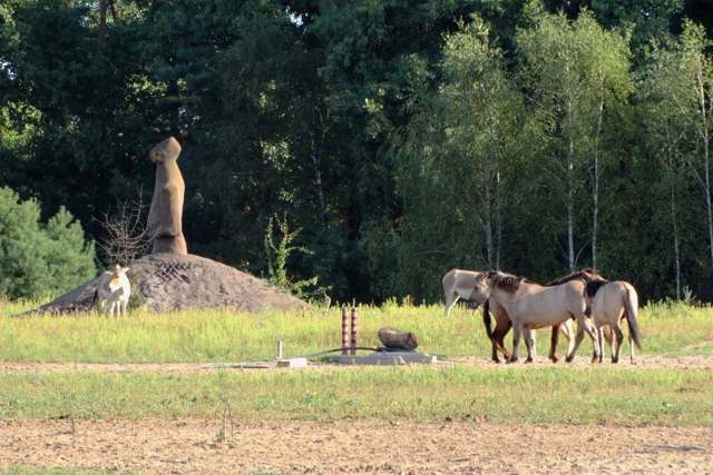 Парк природи Беремицьке