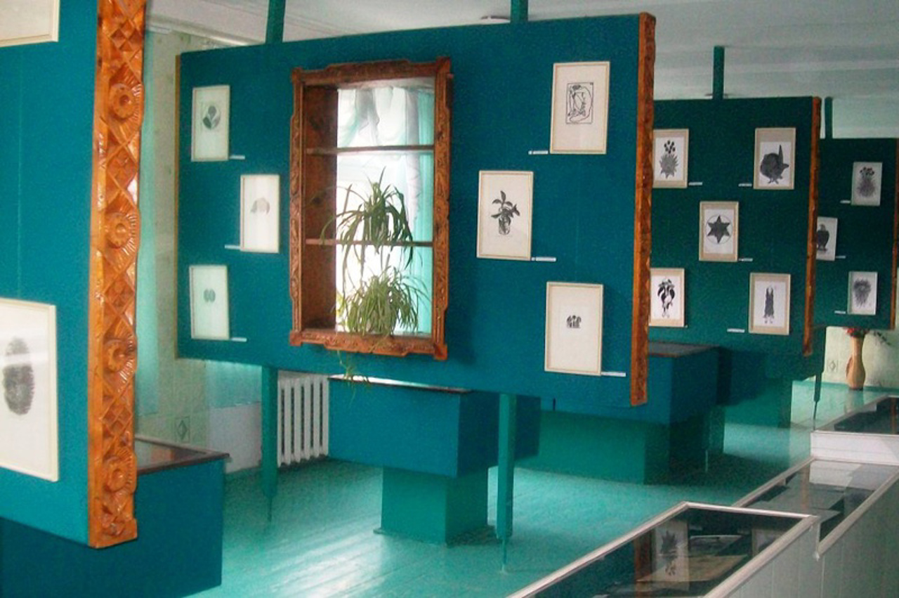 Yakiv Hnizdovsky Museum, Pylypche