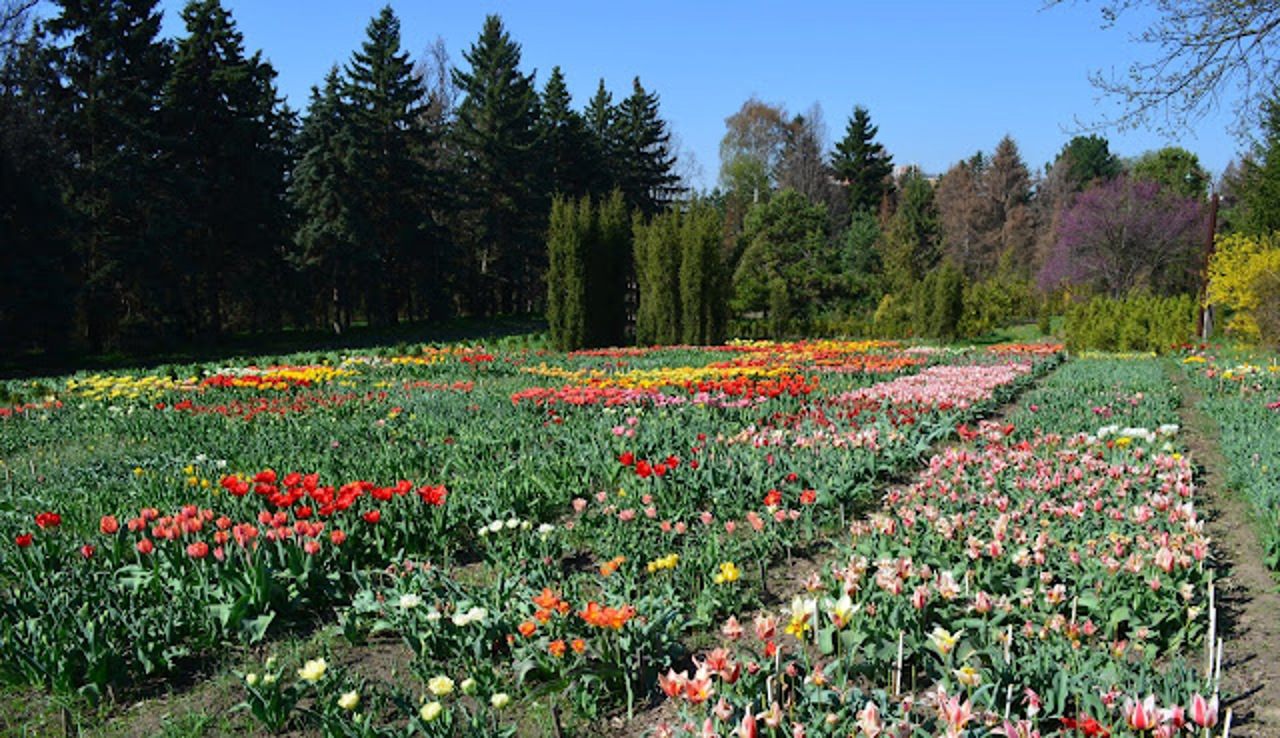 Ботанический сад университета, Харьков