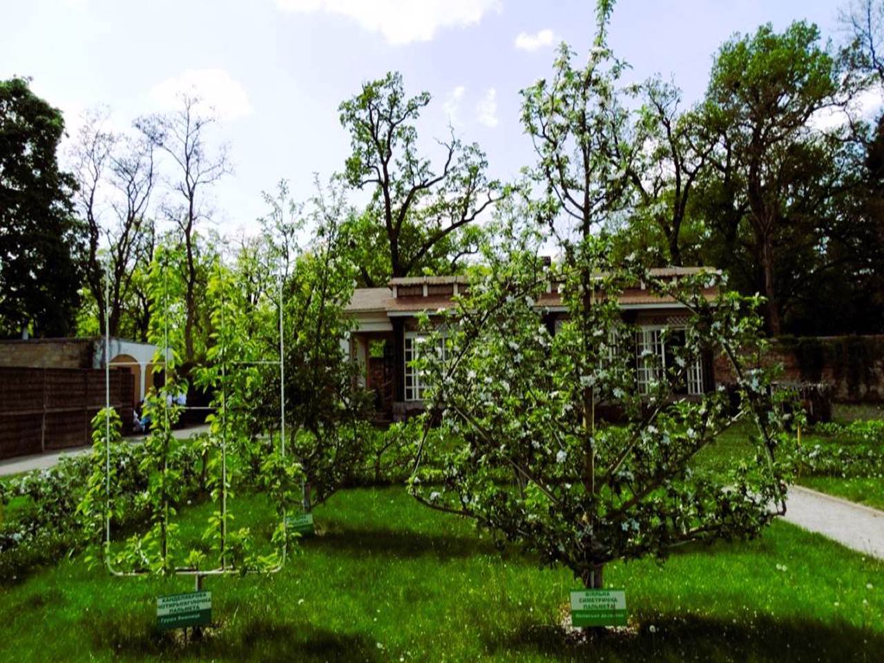 Сад "Мур", Біла Церква