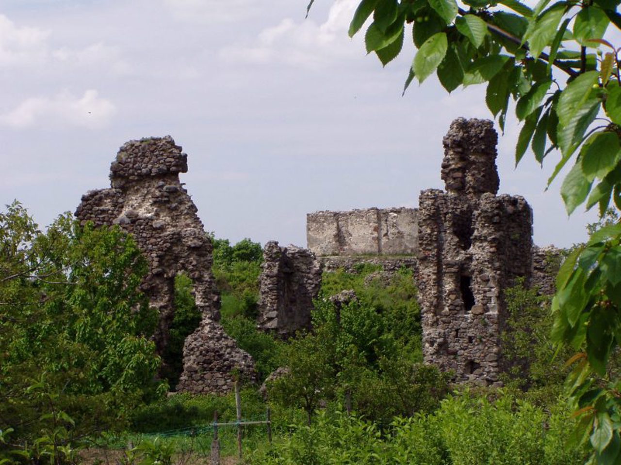Замок Канків (Угочанський), Виноградів