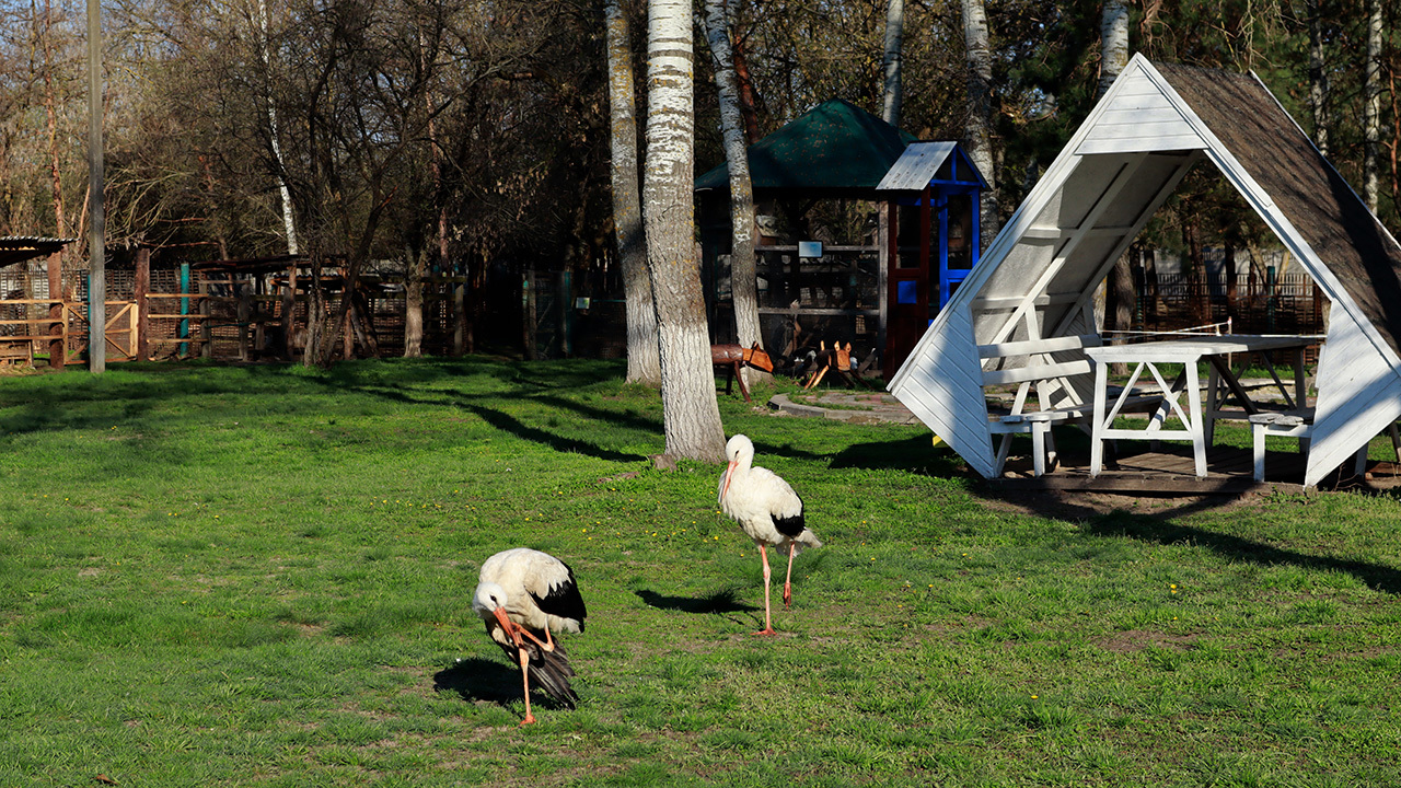 Kobeliaky Ecopark