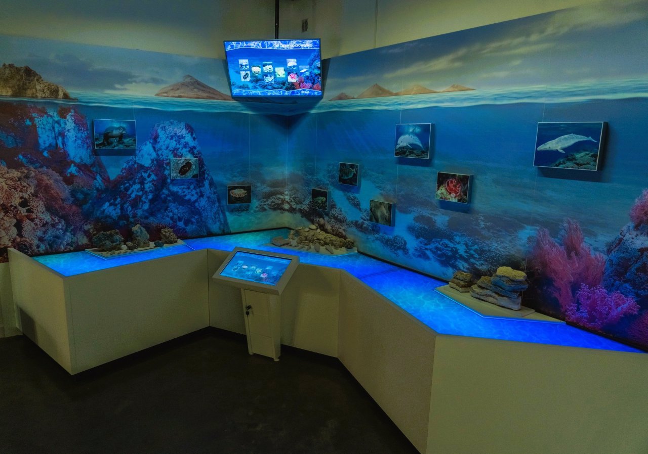 Городоцький краєзнавчий музей G-Museum, Городок