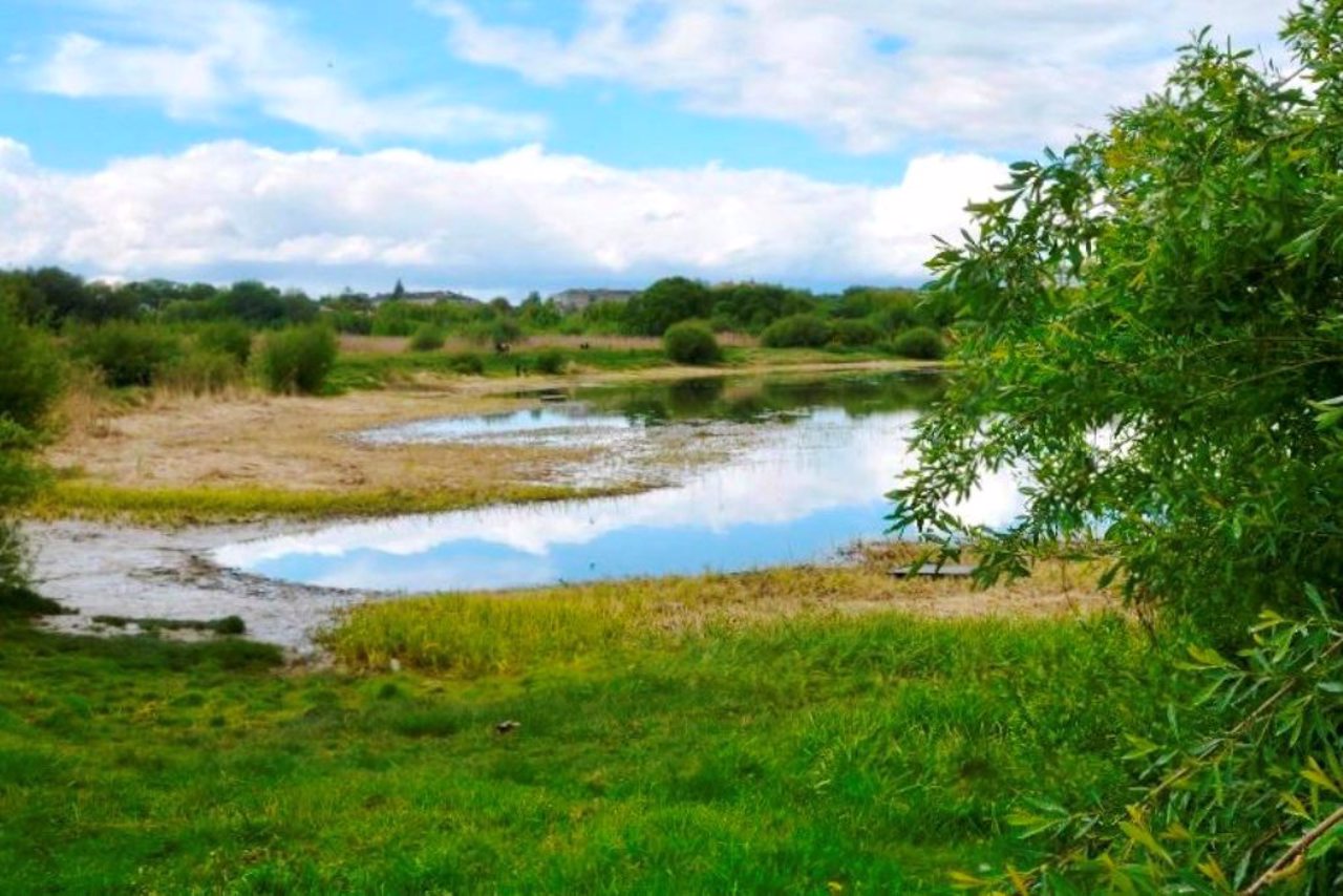 Hnidavske Swamp, Lutsk