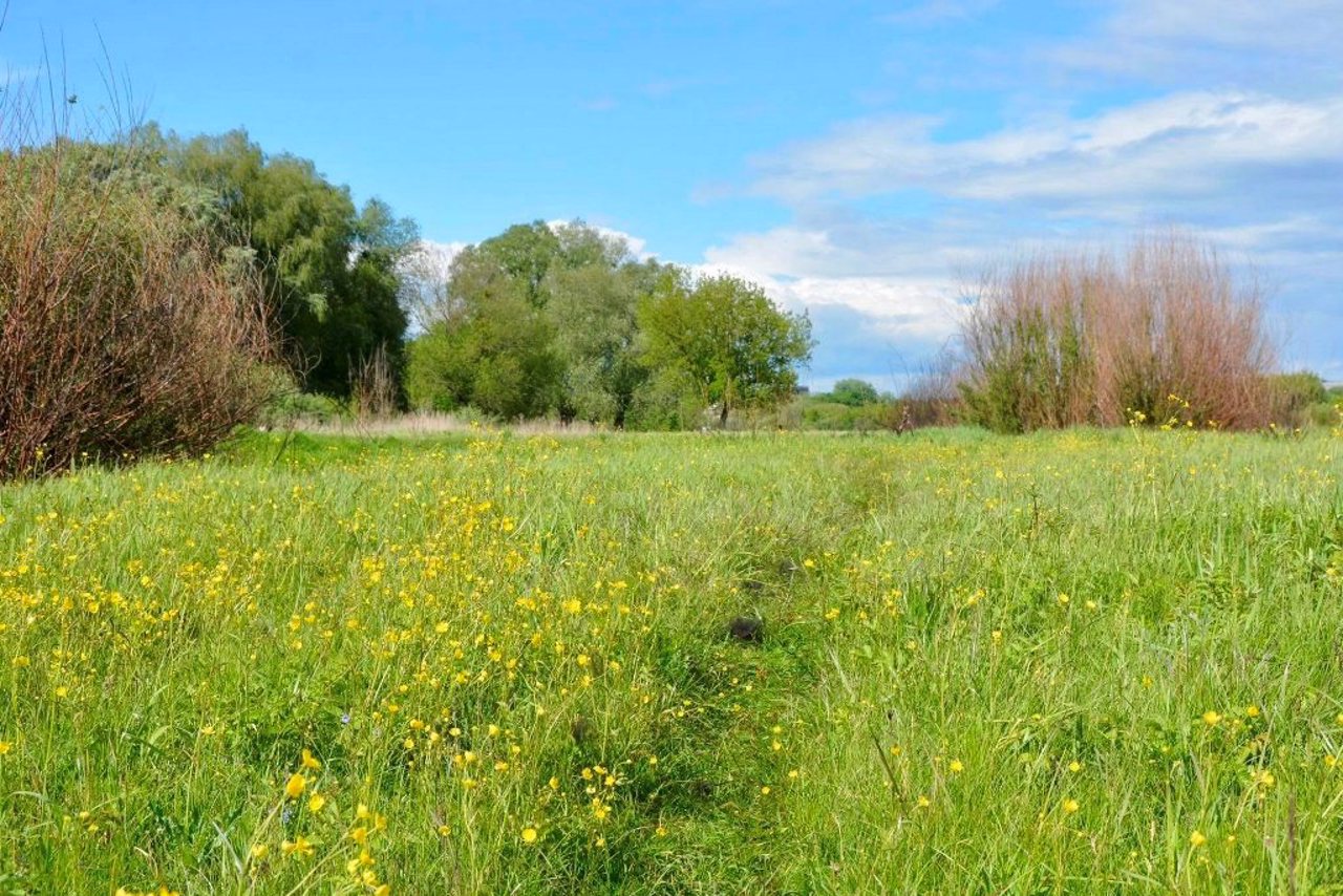 Hnidavske Swamp, Lutsk