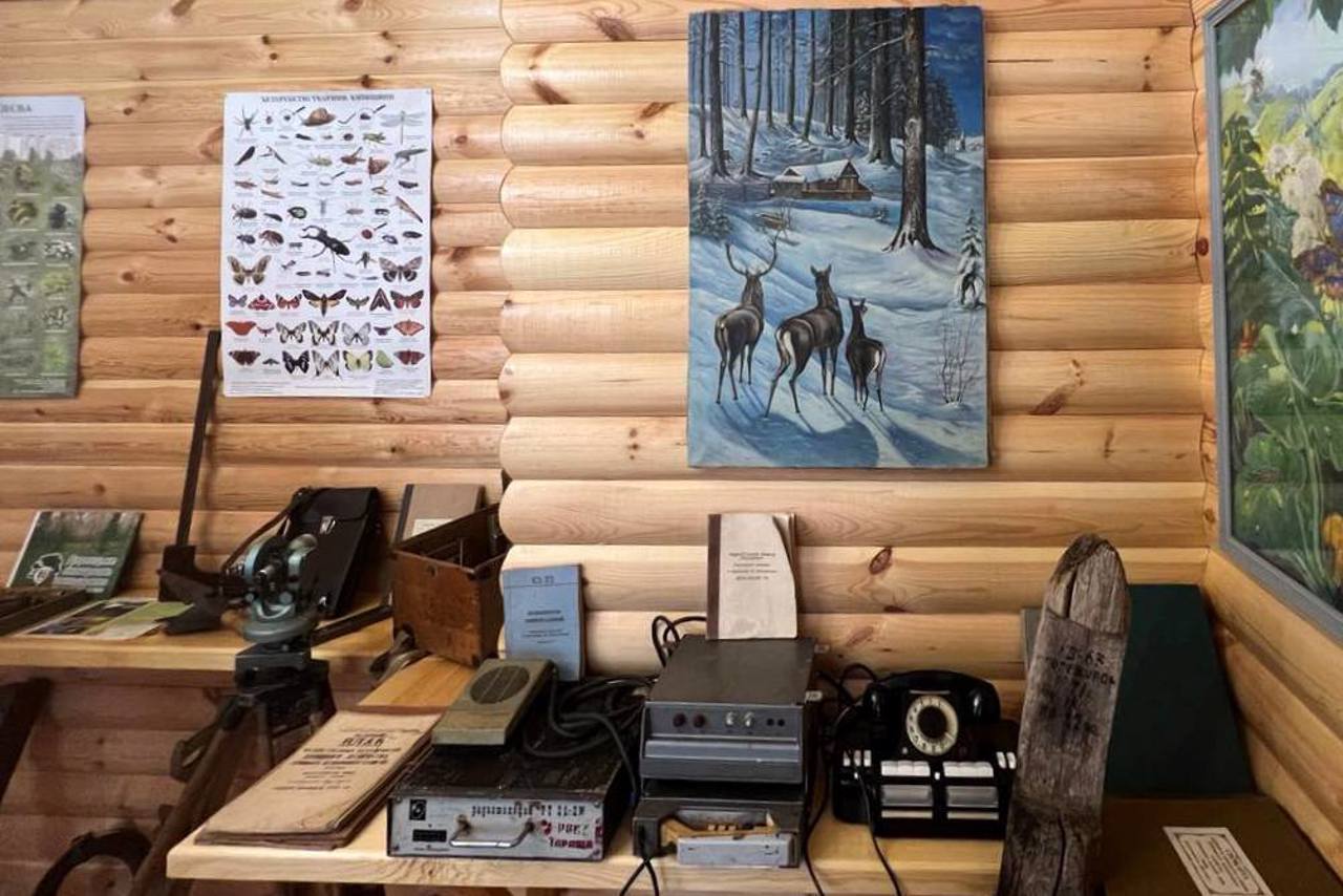 Музей лісу, Бровари