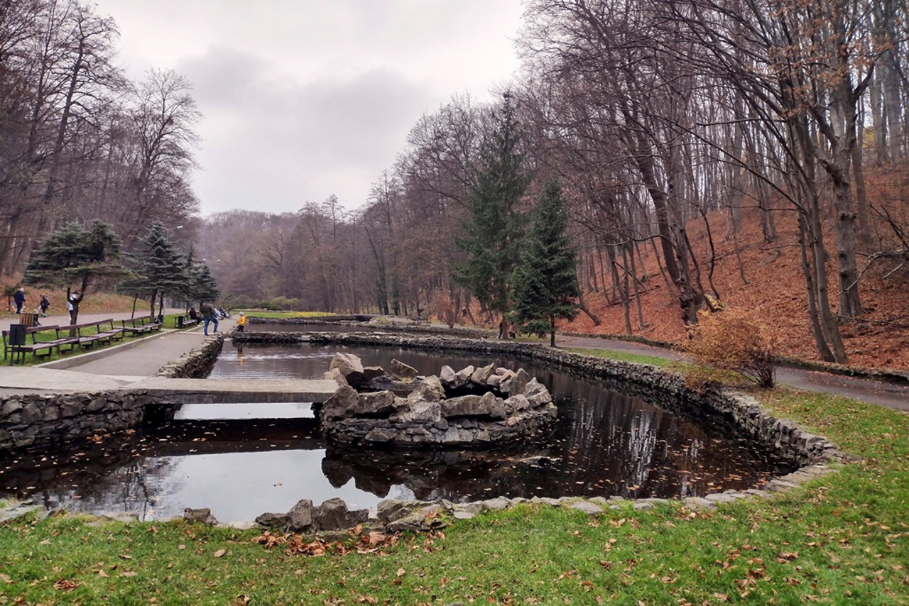 Лісопарк "Погулянка", Львів