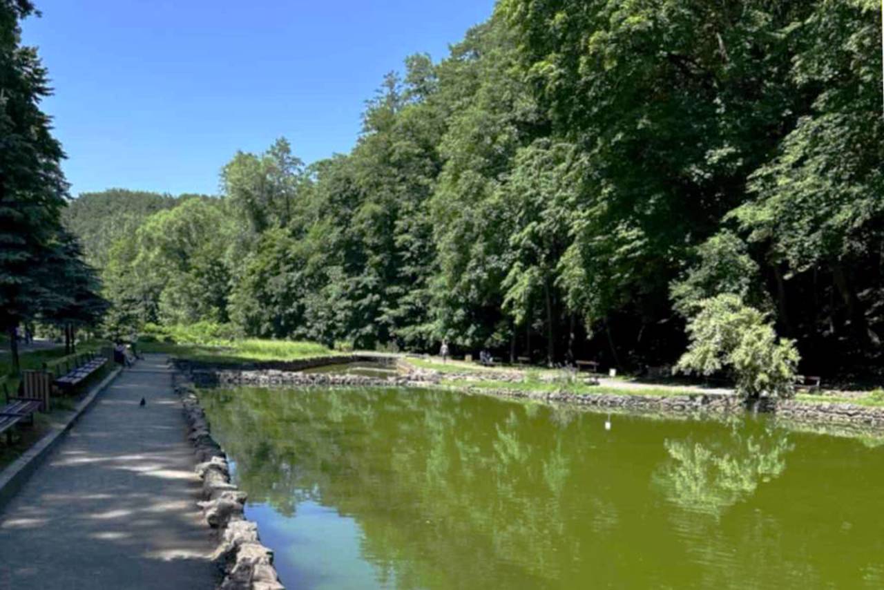 Лісопарк "Погулянка", Львів