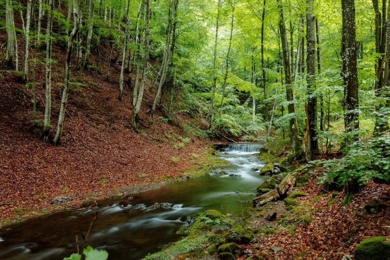 Национальный природный парк "Очарованный край", Ильница