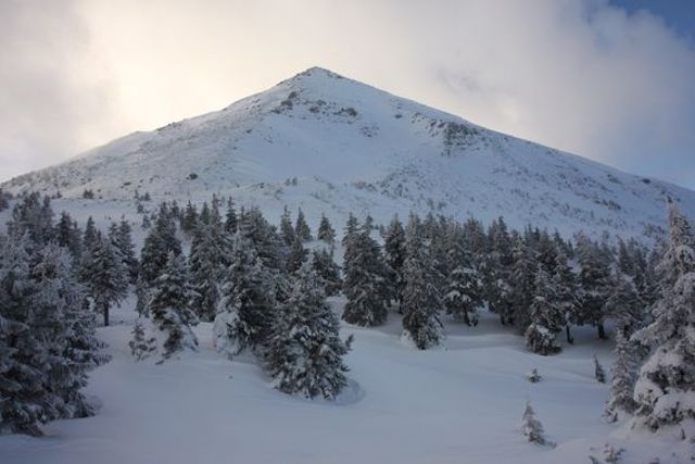 Mount Petros, Kvasy