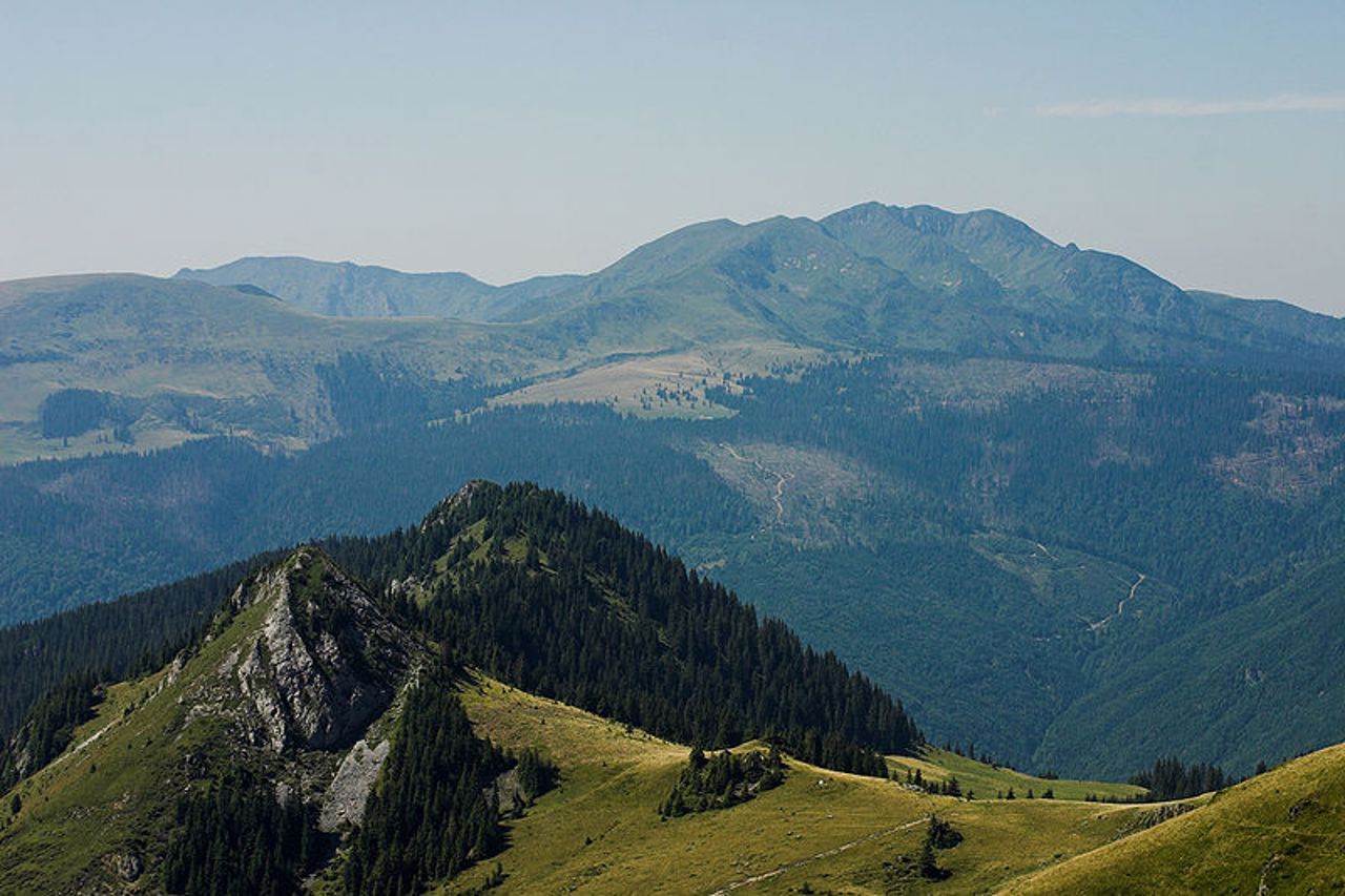 Арт портреты по фотографии