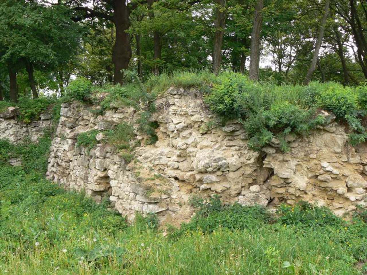 Барський замок, Бар