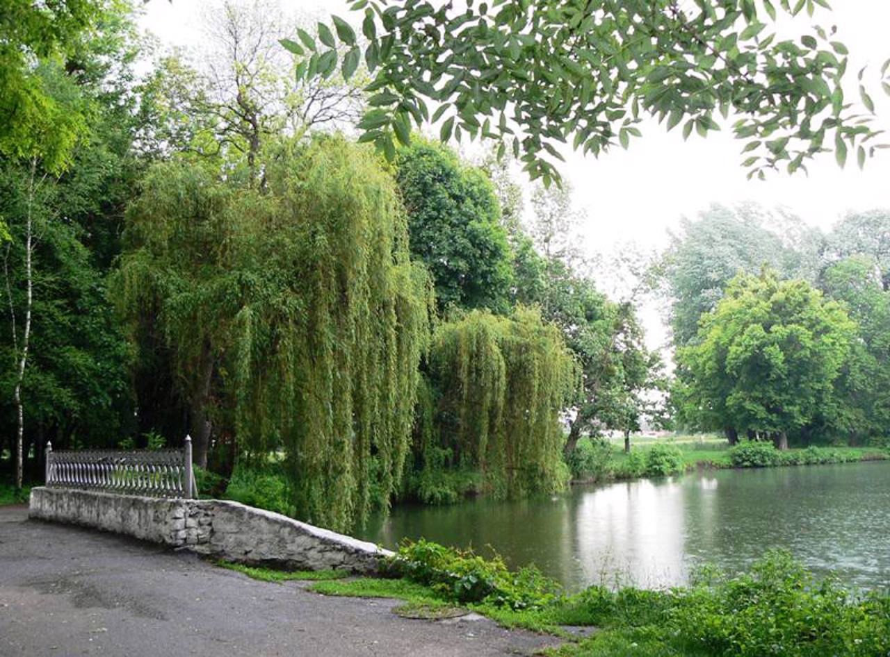 Палац фон Мекк (Музей Чайковського), Браїлів