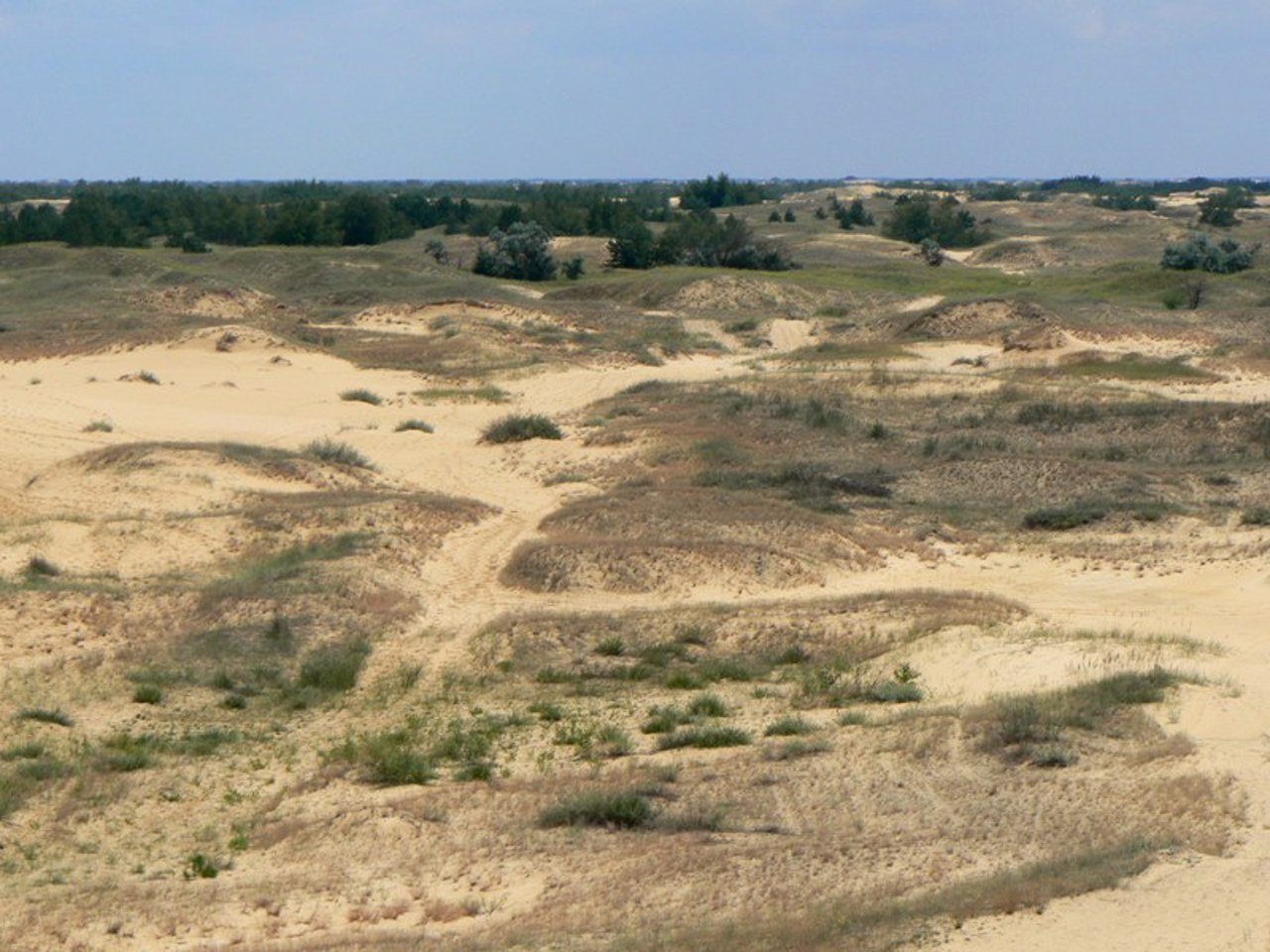 Oleshky Sands, Radensk