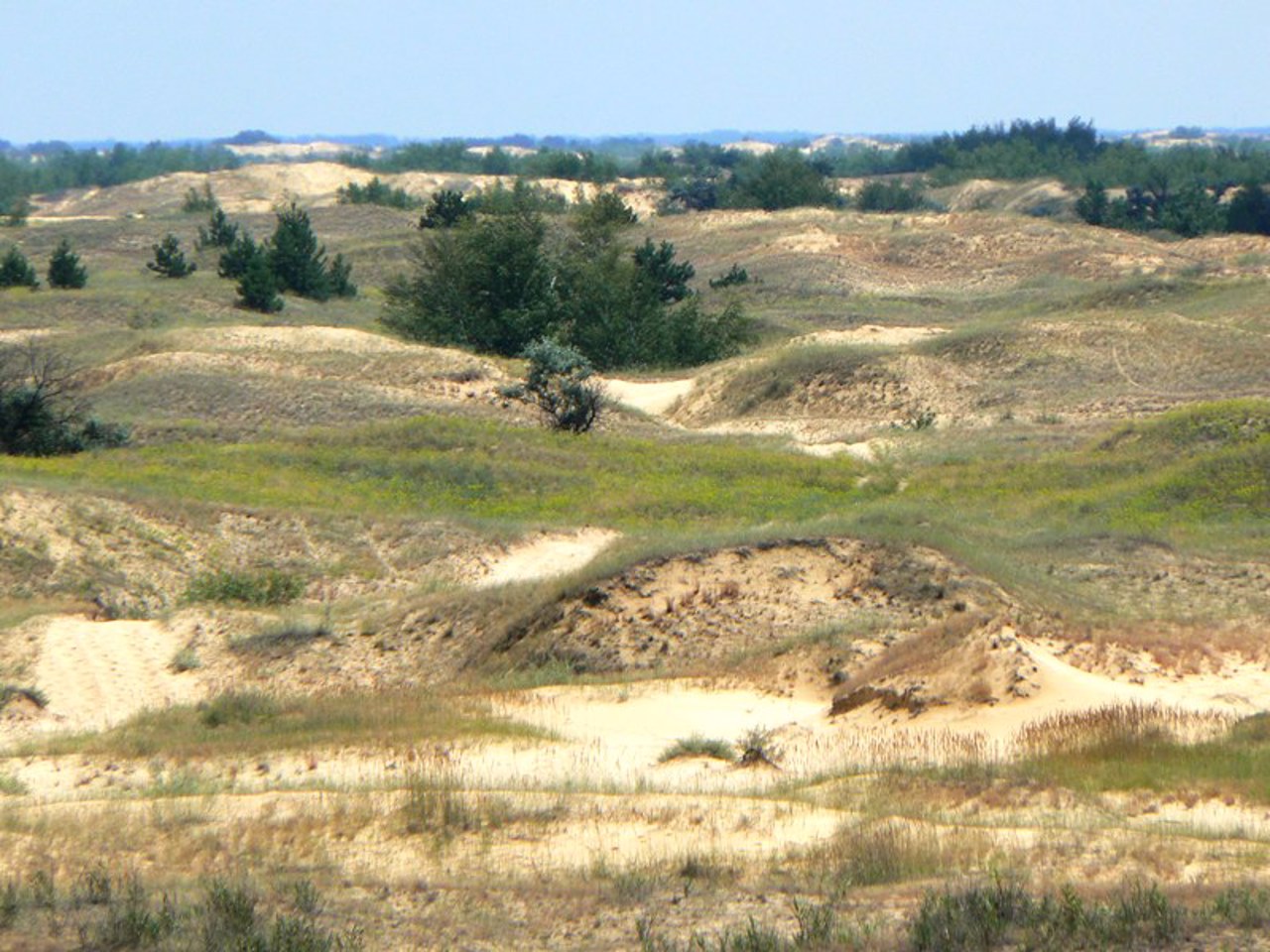 Олешковские пески, Раденск
