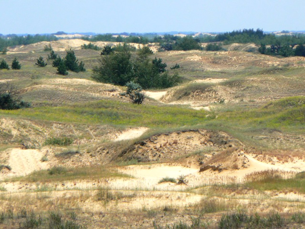 Олешківські піски, Раденськ