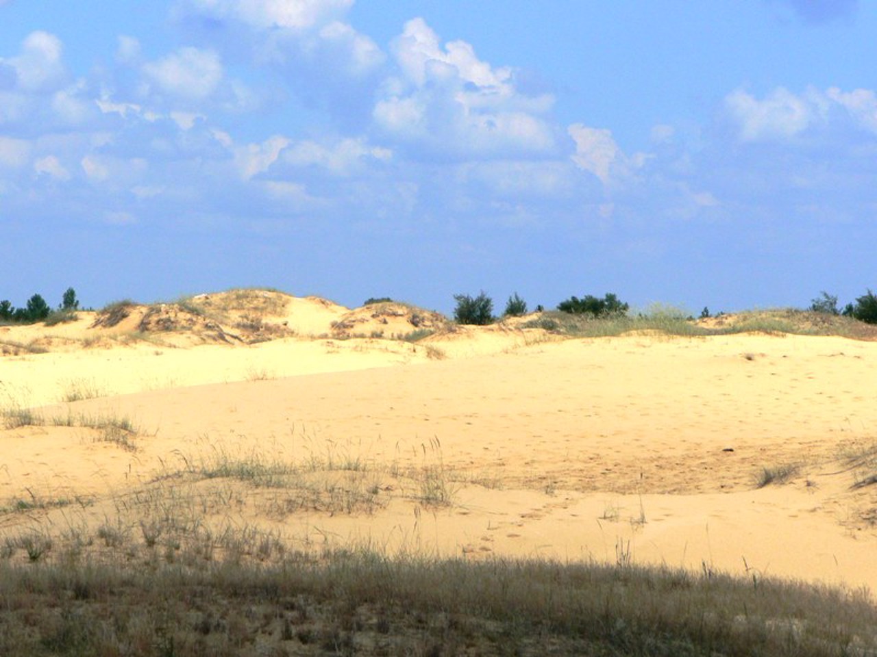 Олешківські піски, Раденськ