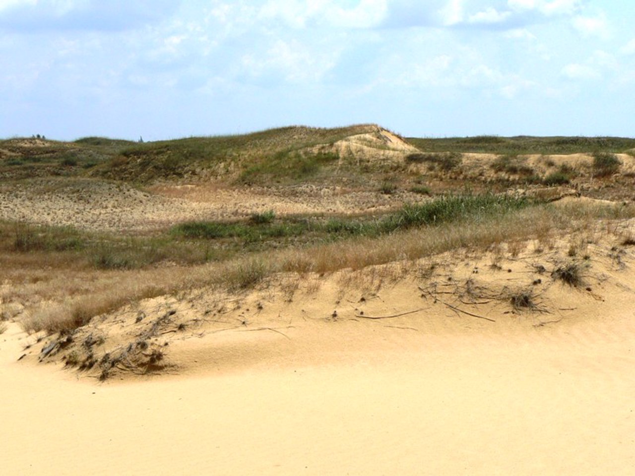 Oleshky Sands, Radensk