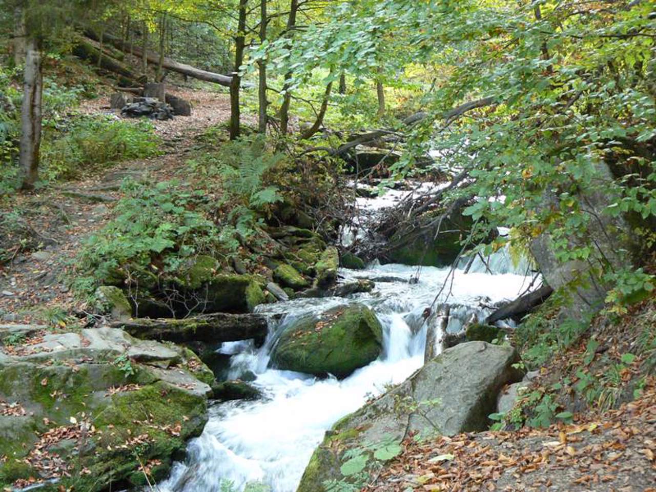 Voyevodyn Waterfall, Turya Poliana